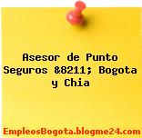 Asesor de Punto Seguros &8211; Bogota y Chia