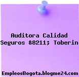 Auditora Calidad Seguros &8211; Toberin
