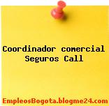 Coordinador comercial Seguros Call