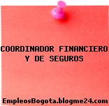 COORDINADOR FINANCIERO Y DE SEGUROS