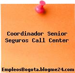 Coordinador Senior Seguros Call Center