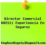 Director Comercial &8211; Experiencia En Seguros