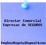 Director Comercial Empresas de SEGUROS