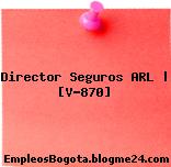 Director Seguros ARL | [V-870]