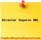 Director Seguros ARL