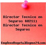 Director Tecnico en Seguros &8211; Director Tecnico en Seguros