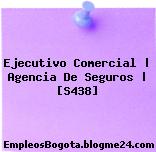 Ejecutivo Comercial Agencia De Seguros (S438)
