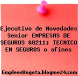 Ejecutivo de Novedades Senior EMPRESAS DE SEGUROS &8211; TECNICO EN SEGUROS o afines