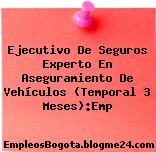 Ejecutivo De Seguros Experto En Aseguramiento De Vehículos (Temporal 3 Meses):Emp