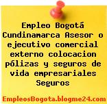 Empleo Bogotá Cundinamarca Asesor o ejecutivo comercial externo colocacion pólizas y seguros de vida empresariales Seguros