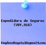 Expedidora de Seguros (VBY.916)