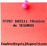 (F29) &8211; Técnico de SEGUROS
