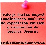 Trabajo Empleo Bogotá Cundinamarca Analista de expedición emisión y renovación de seguros Seguros