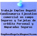 Trabajo Empleo Bogotá Cundinamarca Ejecutivo comercial en campo Seguros y Tarjetas de crédito Personal y Amparadas Seguros