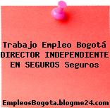 Trabajo Empleo Bogotá DIRECTOR INDEPENDIENTE EN SEGUROS Seguros