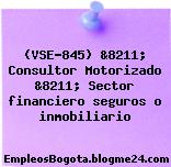 (VSE-845) &8211; Consultor Motorizado &8211; Sector financiero seguros o inmobiliario