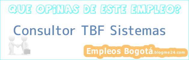 Consultor TBF Sistemas