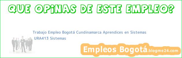 Trabajo Empleo Bogotá Cundinamarca Aprendices en Sistemas | URA413 Sistemas