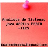 Analista de Sistemas java &8211; FERIA -TICS