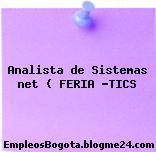 Analista de Sistemas net ( FERIA -TICS