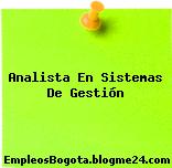 Analista En Sistemas De Gestión