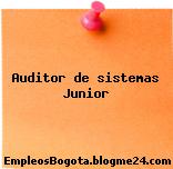 Auditor de sistemas Junior