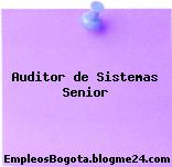 Auditor de Sistemas Senior