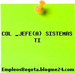 COL _JEFE(A) SISTEMAS TI