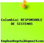 Colombia: RESPONSABLE DE SISTEMAS