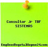 Consultor Jr TBF SISTEMAS