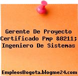 Gerente De Proyecto Certificado Pmp &8211; Ingeniero De Sistemas