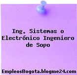Ing. Sistemas o Electrónico Ingeniero de Sopo