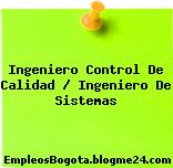 Ingeniero Control De Calidad / Ingeniero De Sistemas