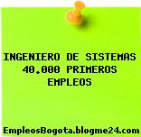 INGENIERO DE SISTEMAS 40.000 PRIMEROS EMPLEOS