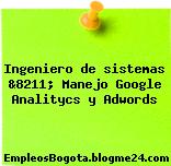Ingeniero de sistemas &8211; Manejo Google Analitycs y Adwords