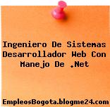 Ingeniero De Sistemas Desarrollador Web Con Manejo De .Net