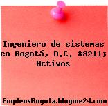 Ingeniero de sistemas en Bogotá, D.C. &8211; Activos