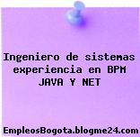 Ingeniero de sistemas experiencia en BPM JAVA Y NET