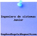 Ingeniero de sistemas Junior