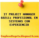 IT PROJECT MANAGER &8211; PROFESIONAL EN SISTEMAS CON EXPERIENCIA