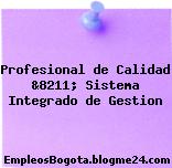 Profesional de Calidad &8211; Sistema Integrado de Gestion