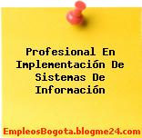 Profesional En Implementación De Sistemas De Información