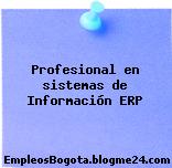Profesional en sistemas de Información ERP