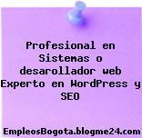 Profesional en Sistemas o desarollador web Experto en WordPress y SEO