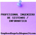PROFESIONAL INGENIERO DE SISTEMAS / INFORMATICA