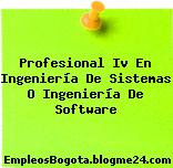 Profesional Iv En Ingeniería De Sistemas O Ingeniería De Software