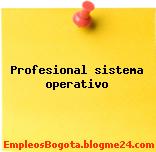 Profesional sistema operativo