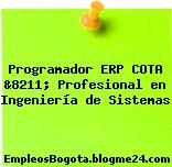 Programador ERP COTA &8211; Profesional en Ingeniería de Sistemas