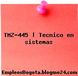 TMZ-445 | Tecnico en sistemas