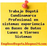 Trabajo Bogotá Cundinamarca Profesional en sistemas experiencia en Bases de Datos Lunes a Viernes Sistemas